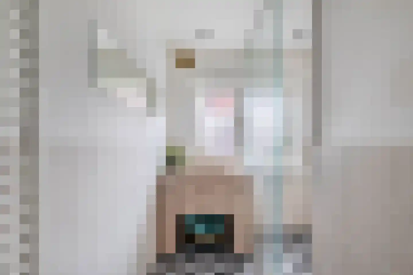 Swammerdamstraat 18 Utrecht thumbnail 33