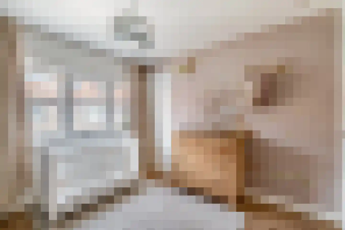 Swammerdamstraat 18 Utrecht thumbnail 36