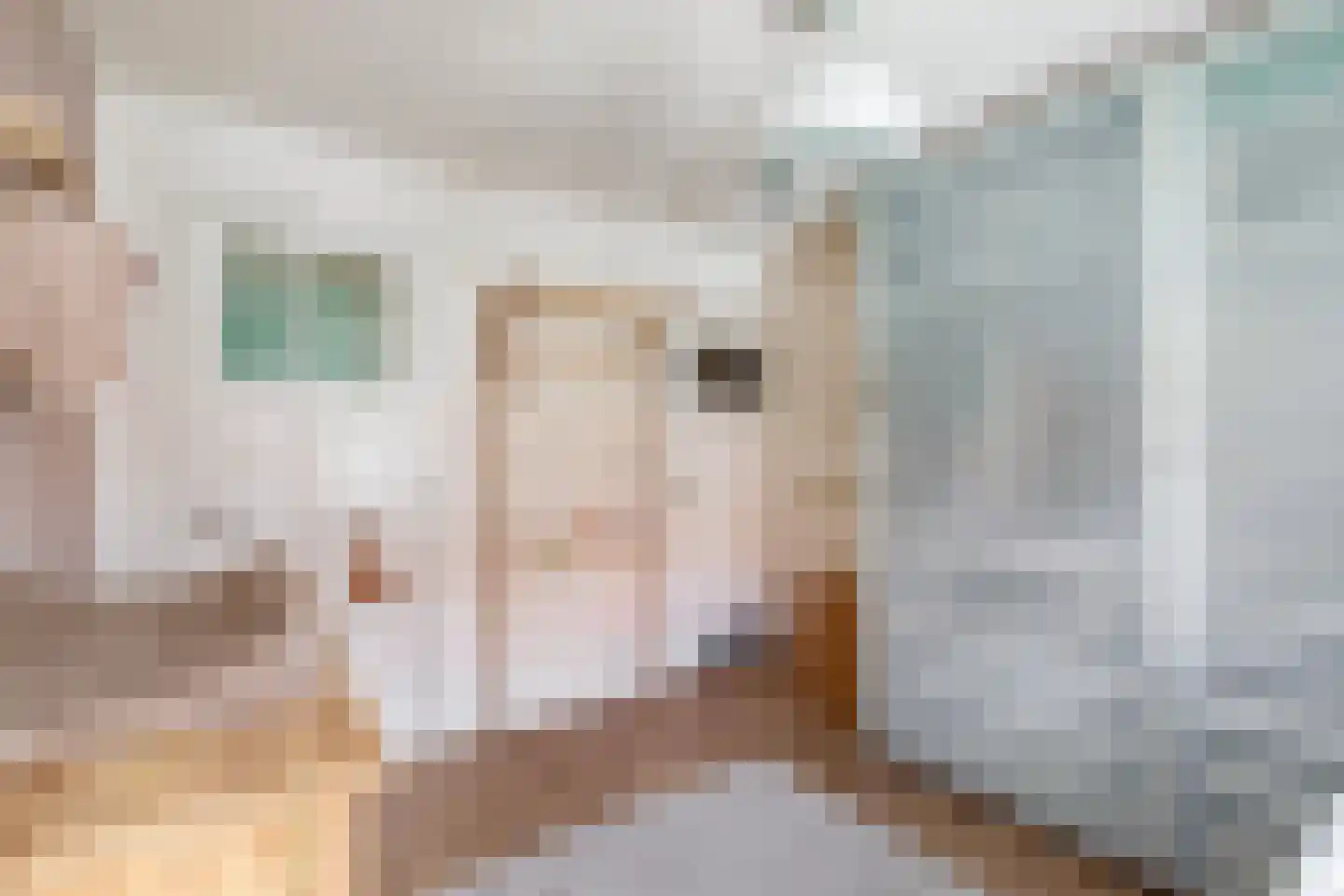 Swammerdamstraat 18 Utrecht thumbnail 37