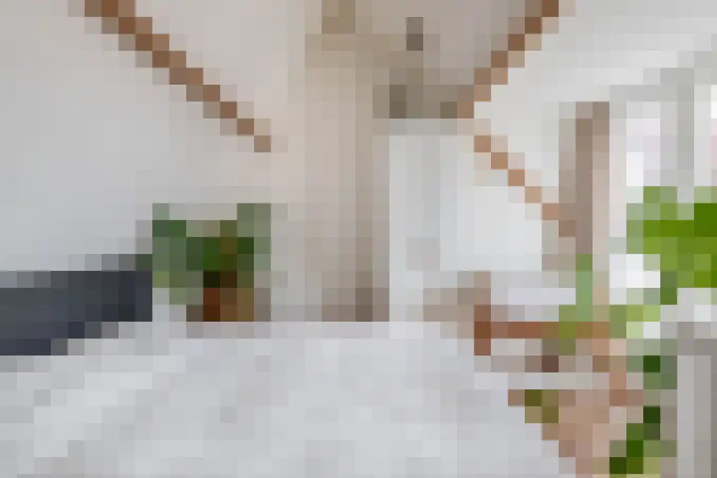 Swammerdamstraat 18 Utrecht thumbnail 38