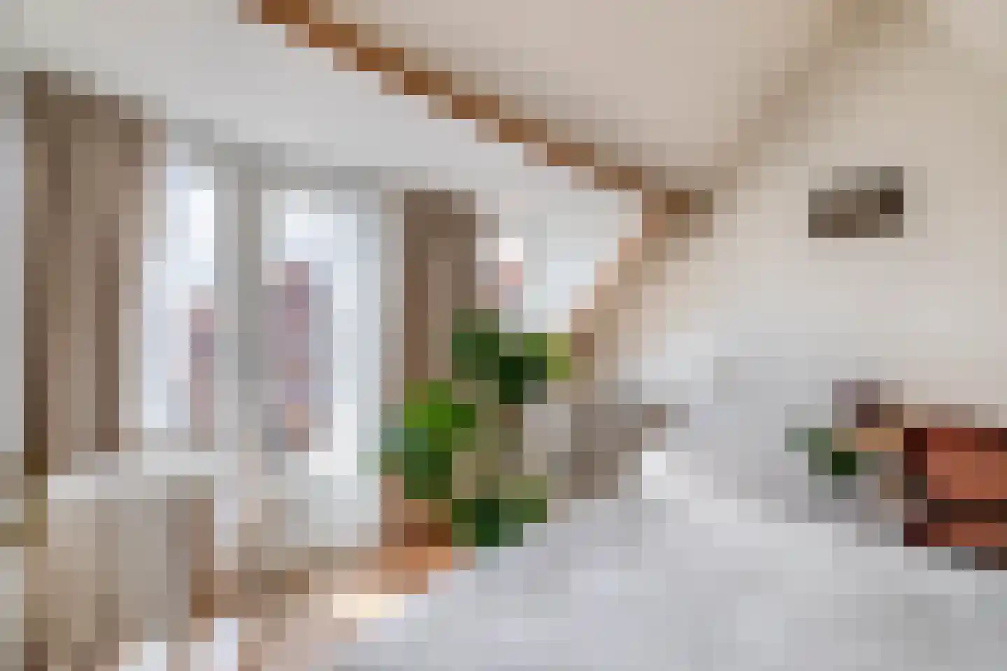 Swammerdamstraat 18 Utrecht thumbnail 39