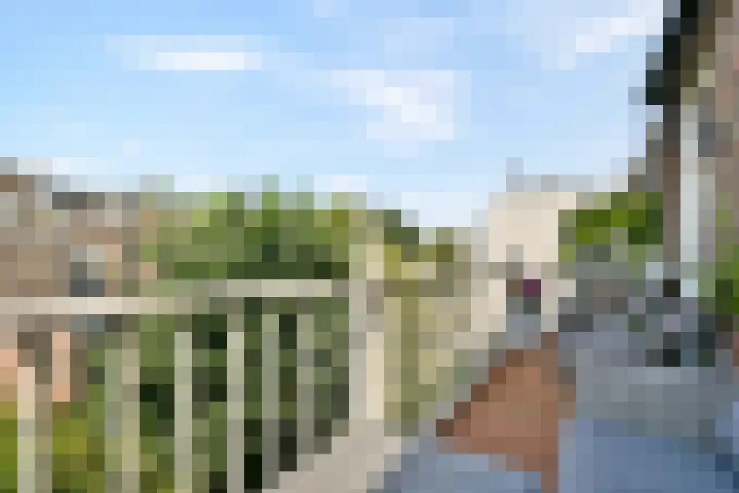 Swammerdamstraat 20 3 Amsterdam thumbnail 11
