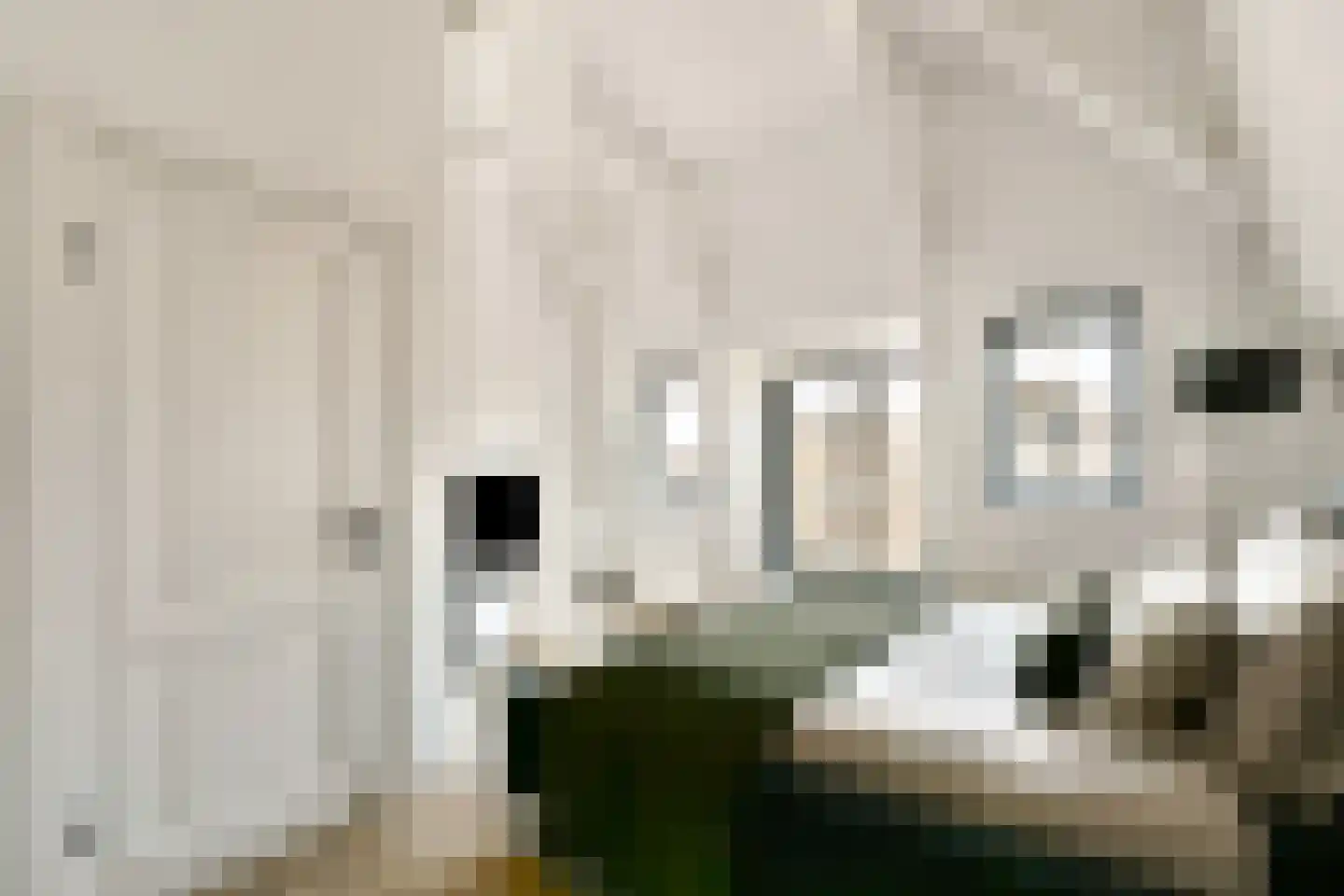 Swammerdamstraat 20 3 Amsterdam thumbnail 15