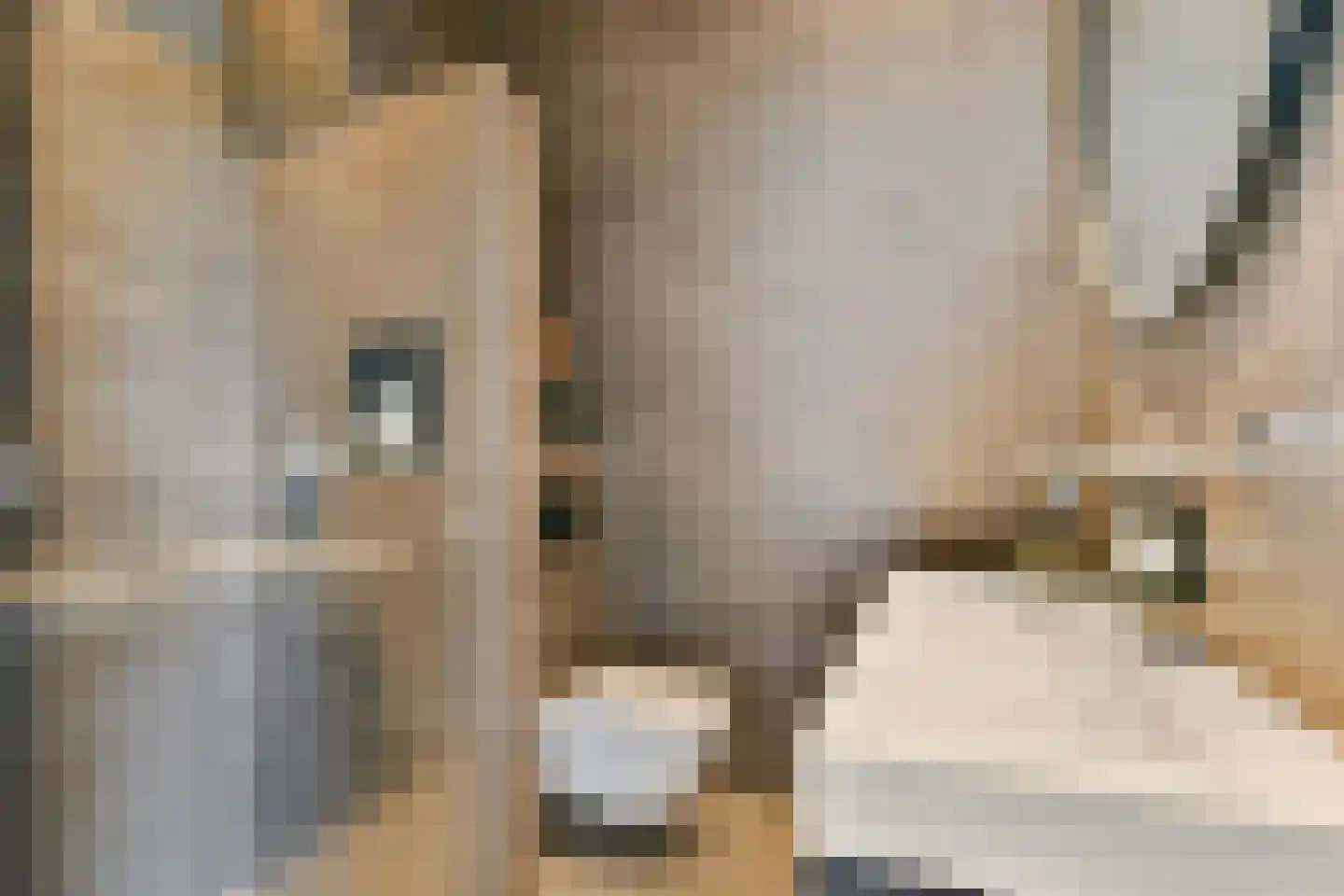 Swammerdamstraat 20 3 Amsterdam thumbnail 19