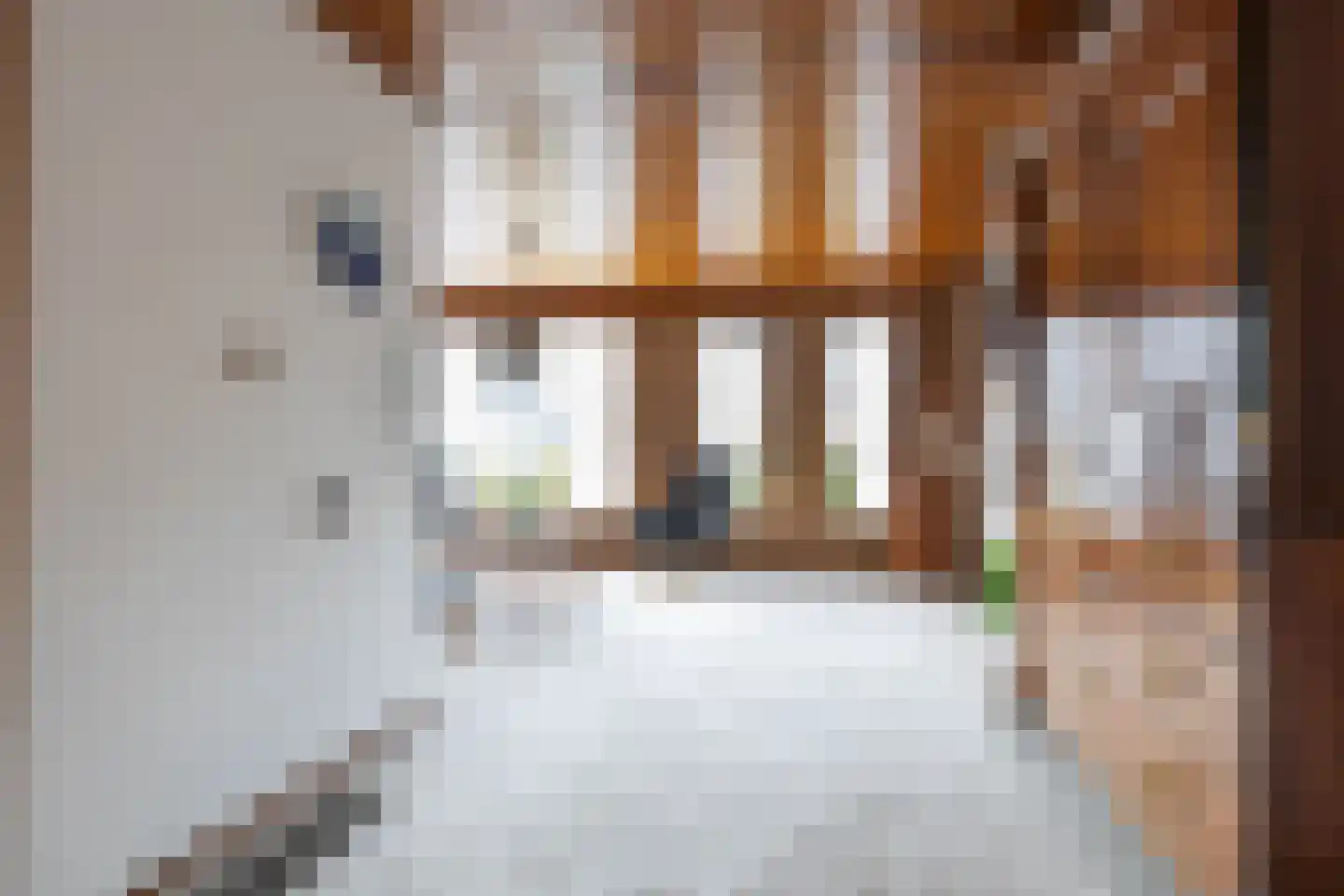 Swammerdamstraat 28 Hoogeveen thumbnail 11