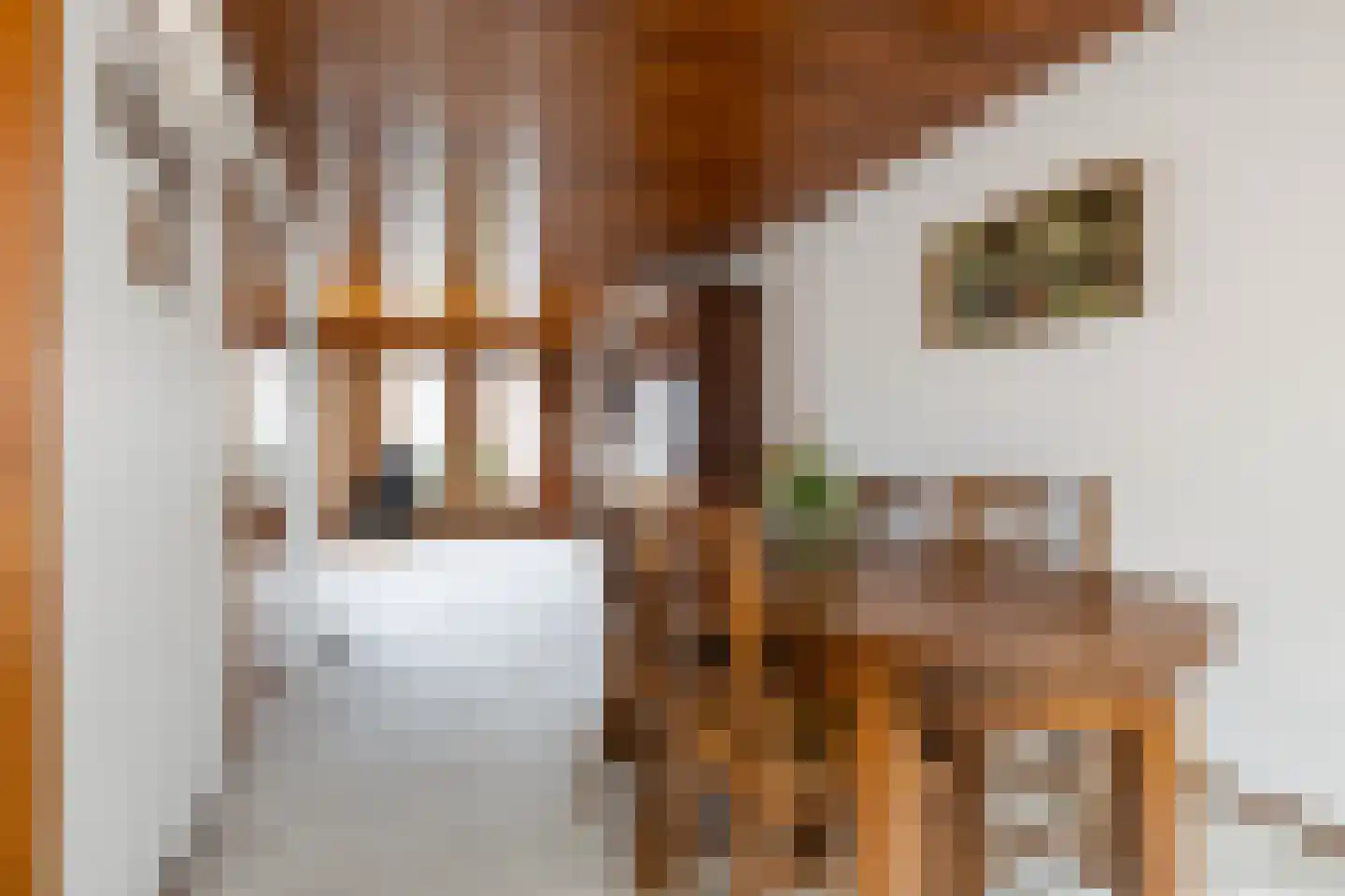 Swammerdamstraat 28 Hoogeveen thumbnail 24