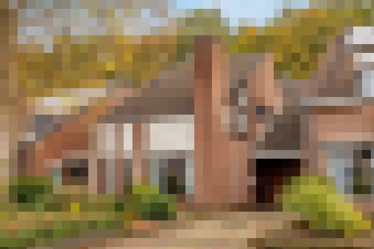 Swammerdamstraat 28 Hoogeveen thumbnail 53