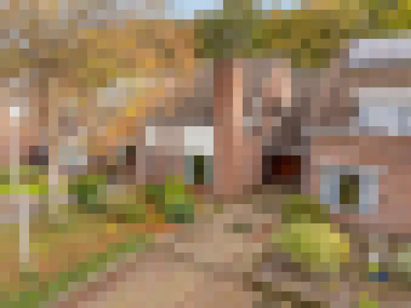 Swammerdamstraat 28 Hoogeveen thumbnail 54