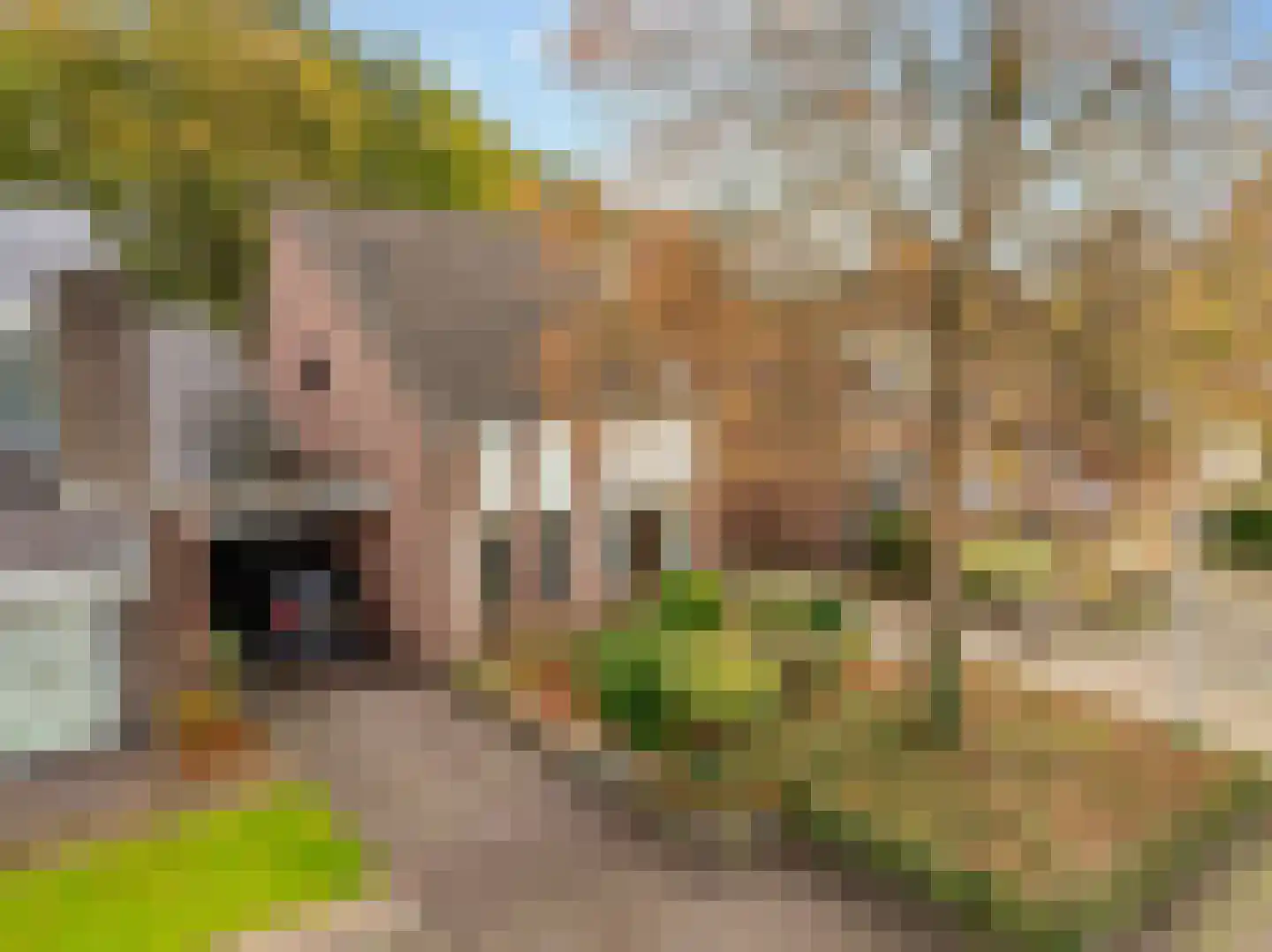 Swammerdamstraat 28 Hoogeveen thumbnail 55
