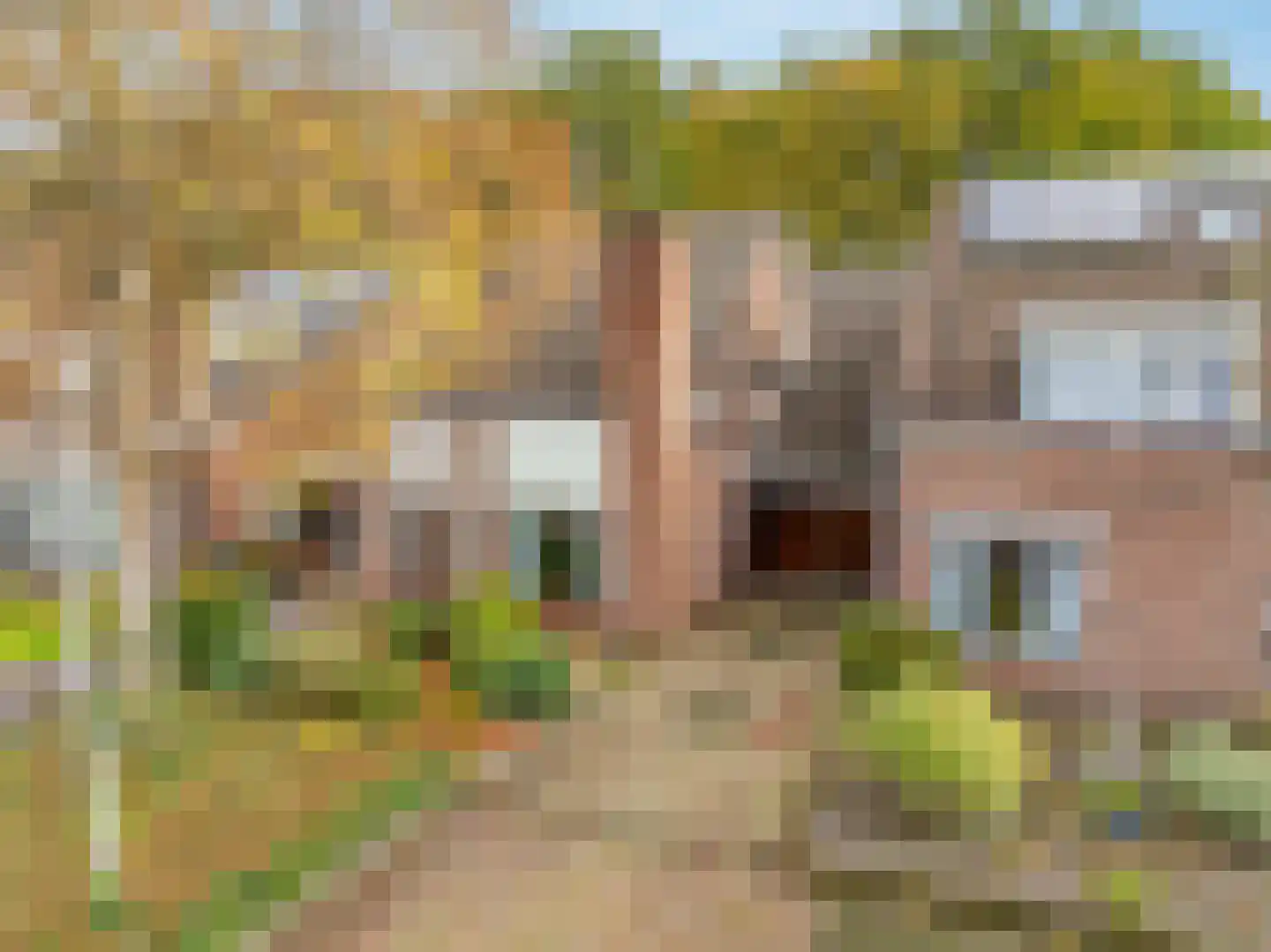 Swammerdamstraat 28 Hoogeveen thumbnail 7