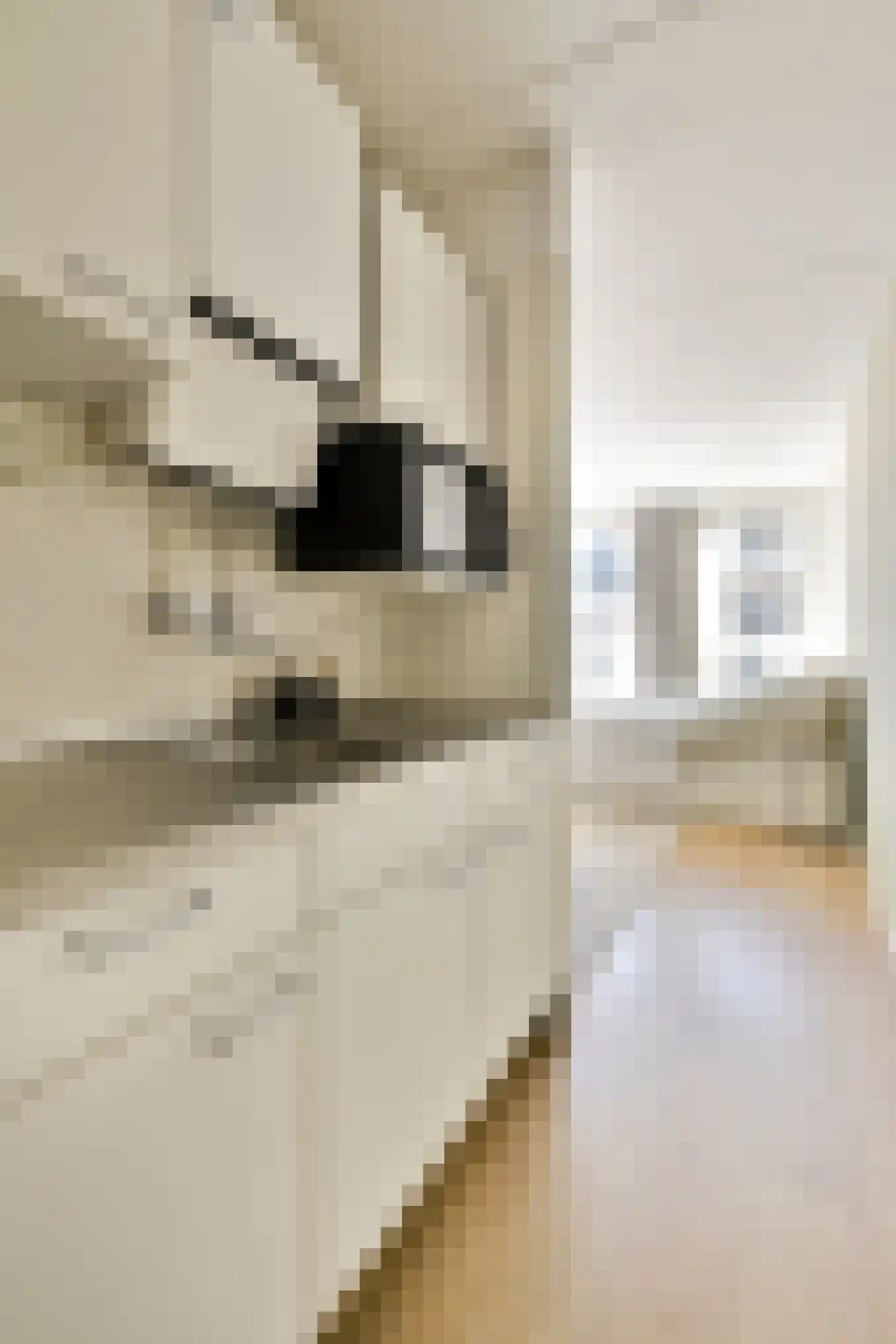 Swammerdamstraat 29 P Amsterdam thumbnail 14