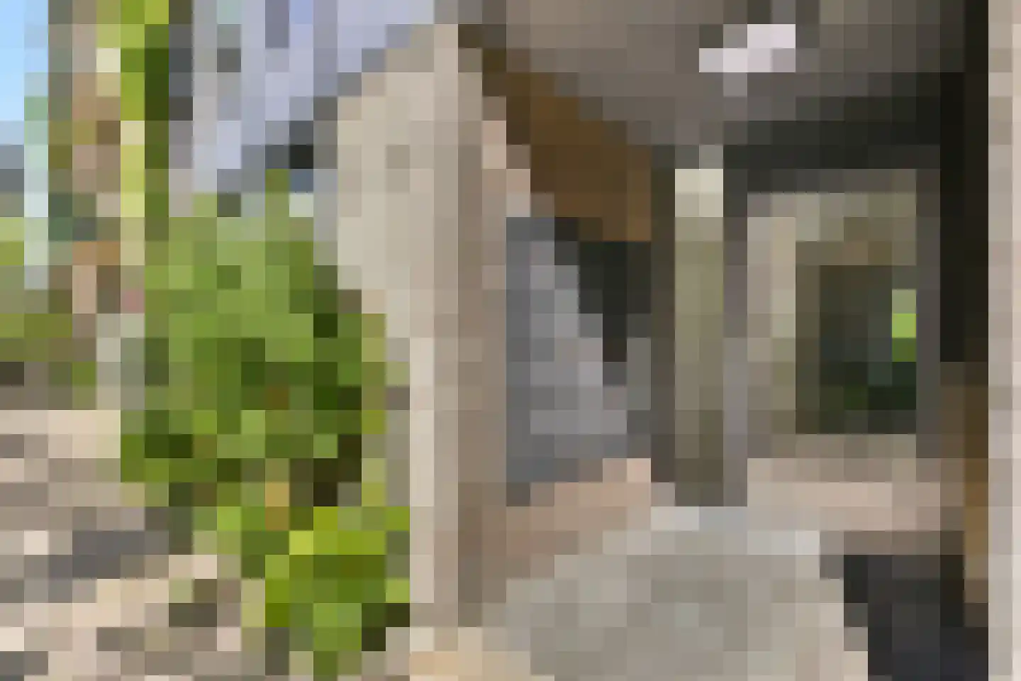 Swammerdamstraat 29 P Amsterdam thumbnail 5