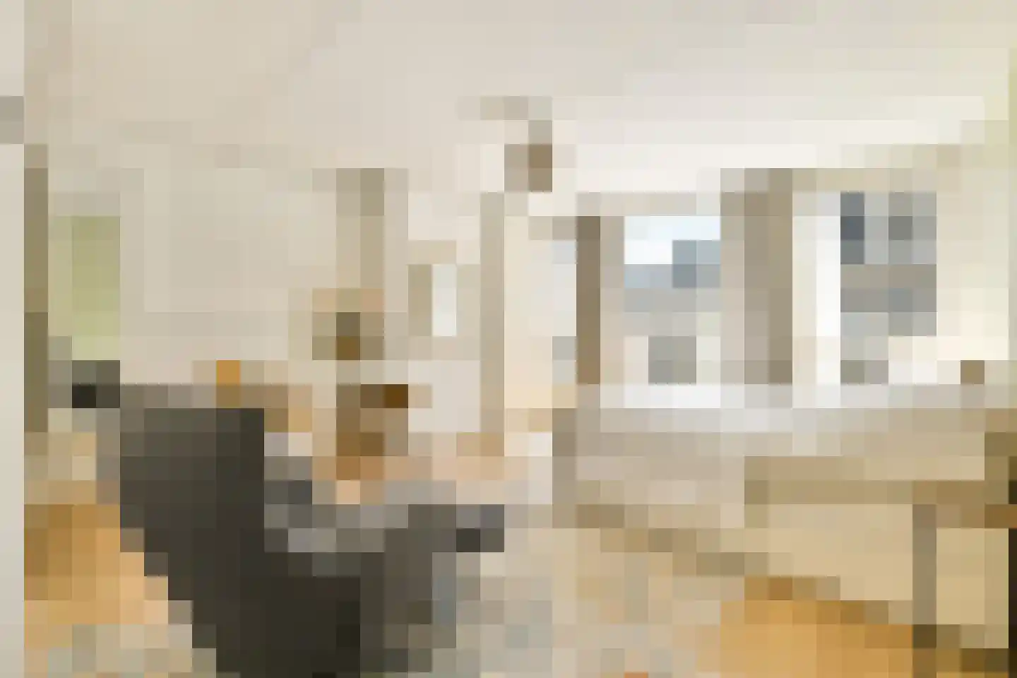 Swammerdamstraat 29 P Amsterdam thumbnail 8