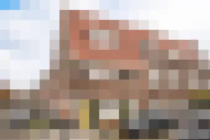 Swammerdamstraat 3 BS Utrecht thumbnail 6
