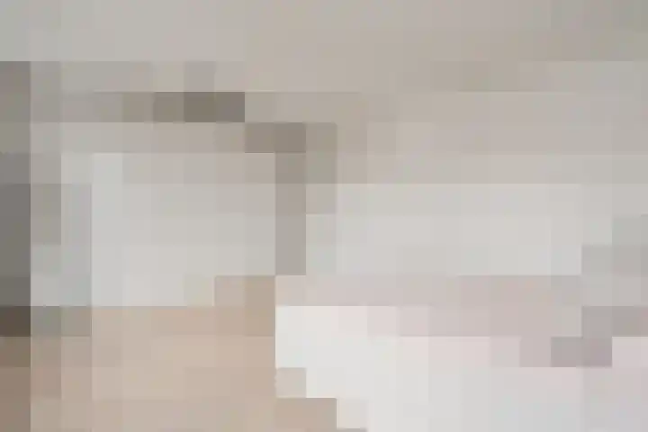 Swammerdamstraat 33 A Amsterdam thumbnail 39
