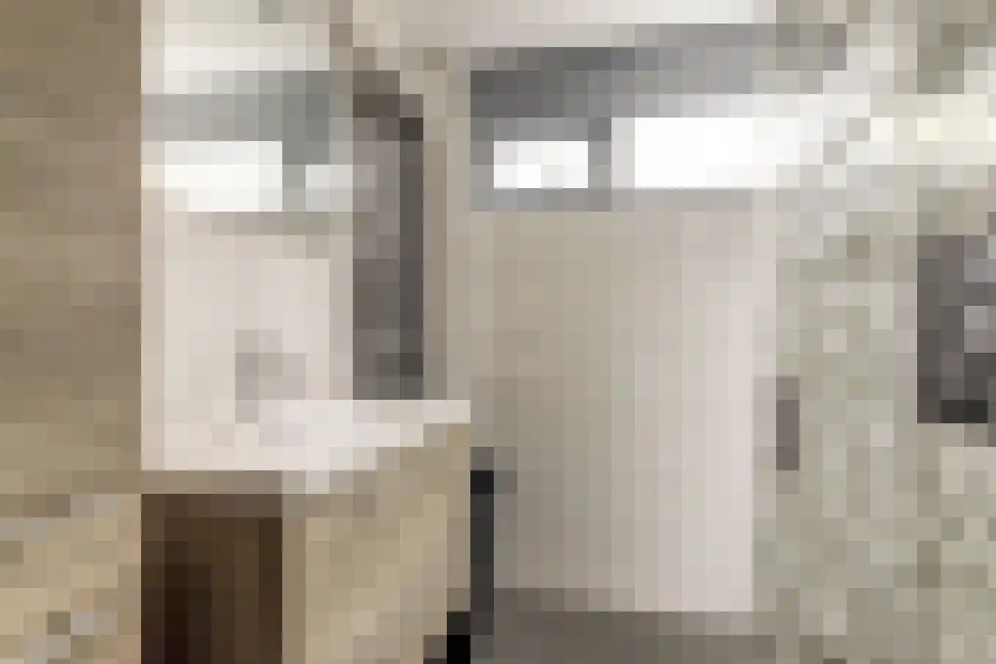 Swammerdamstraat 37 Hoogeveen thumbnail 32
