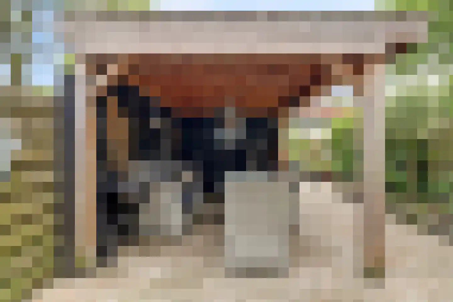 Swammerdamstraat 37 Hoogeveen thumbnail 37