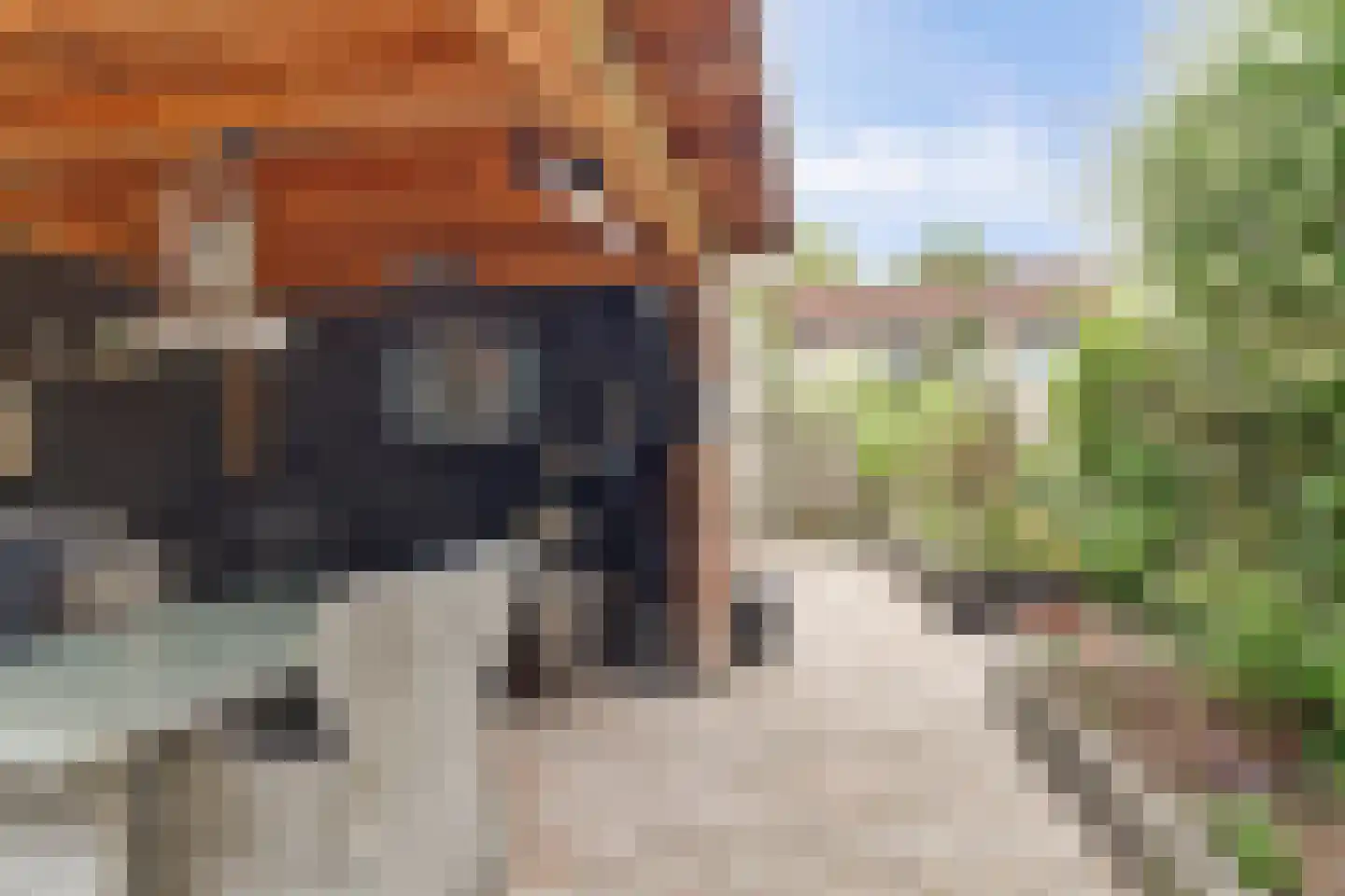 Swammerdamstraat 37 Hoogeveen thumbnail 38