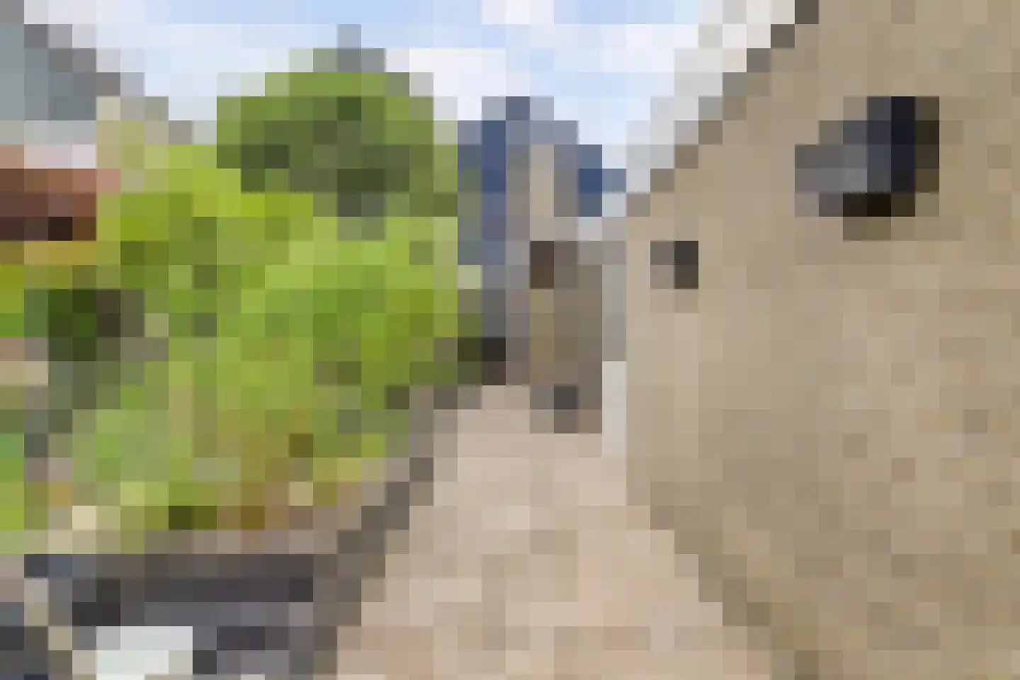 Swammerdamstraat 37 Hoogeveen thumbnail 7