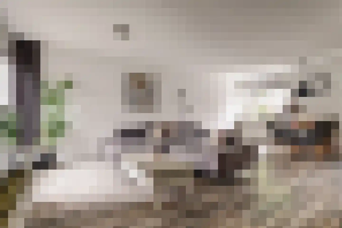 Swammerdamstraat 37 Hoogeveen thumbnail 9