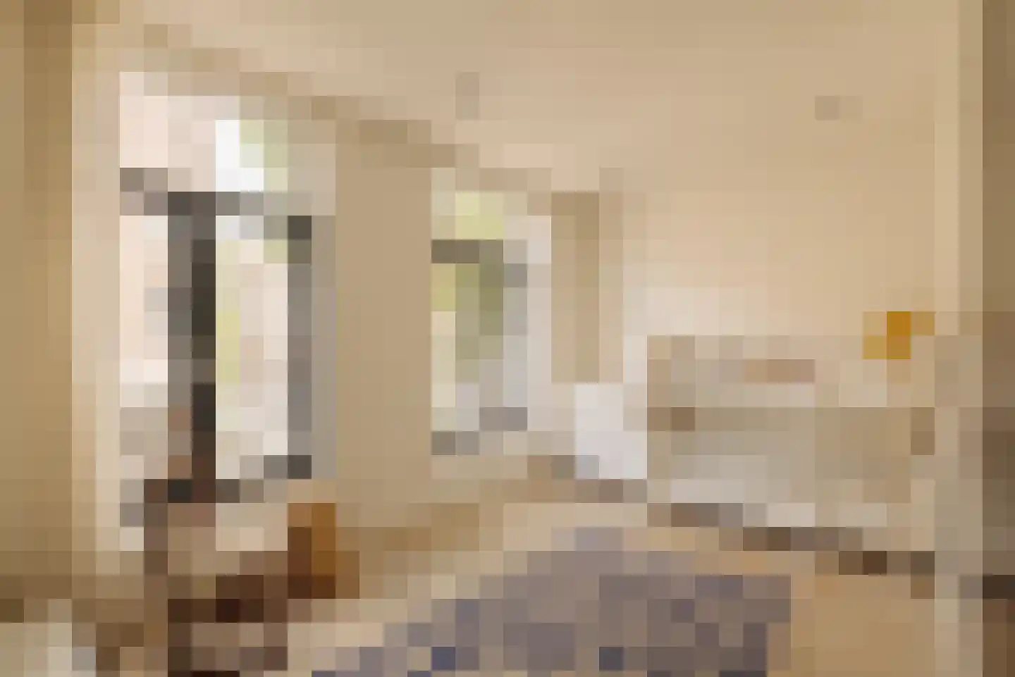 Swammerdamstraat 38 D Amsterdam thumbnail 18