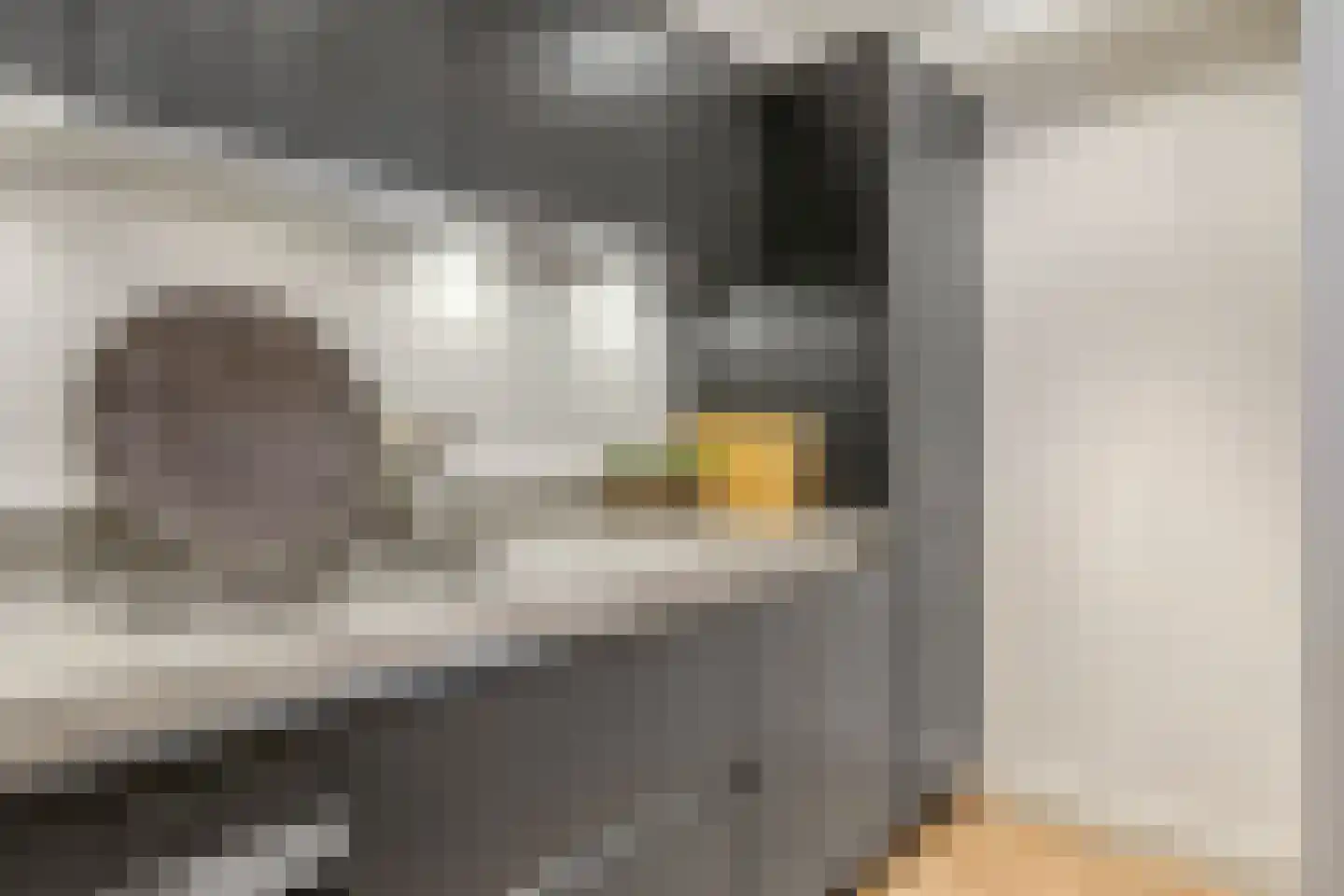 Swammerdamstraat 38 E Amsterdam thumbnail 12