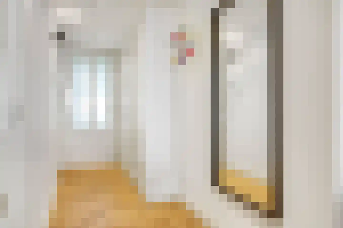 Swammerdamstraat 38 E Amsterdam thumbnail 24