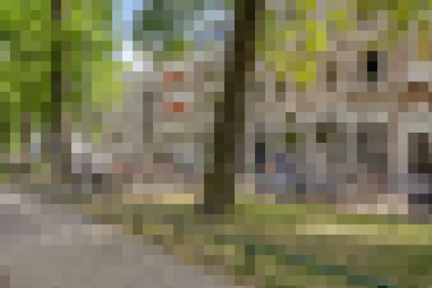 Swammerdamstraat 38 E Amsterdam thumbnail 32