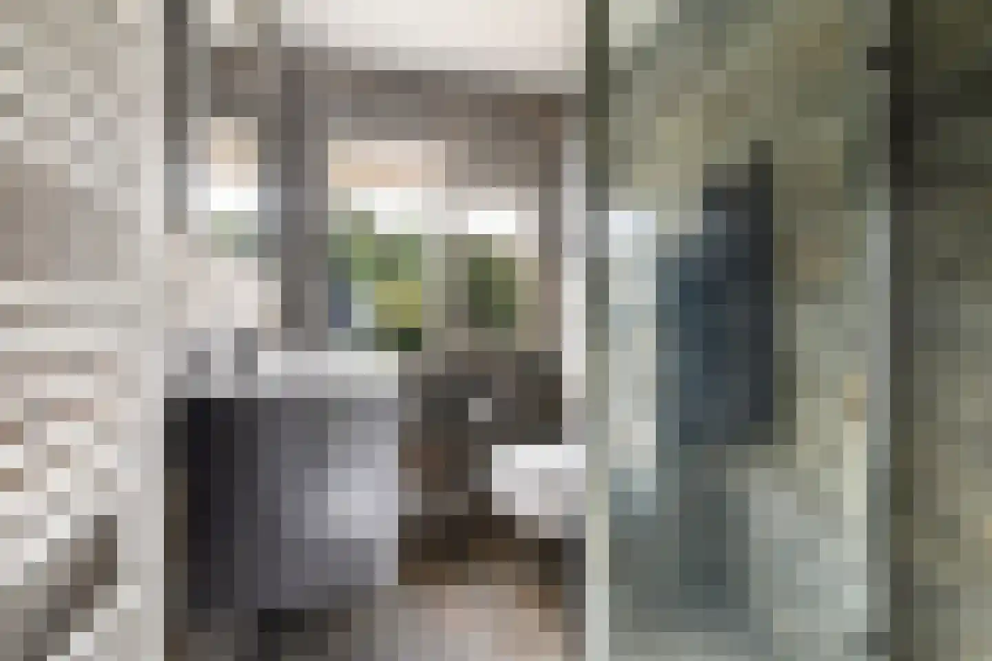 Swammerdamstraat 41 Leeuwarden thumbnail 5