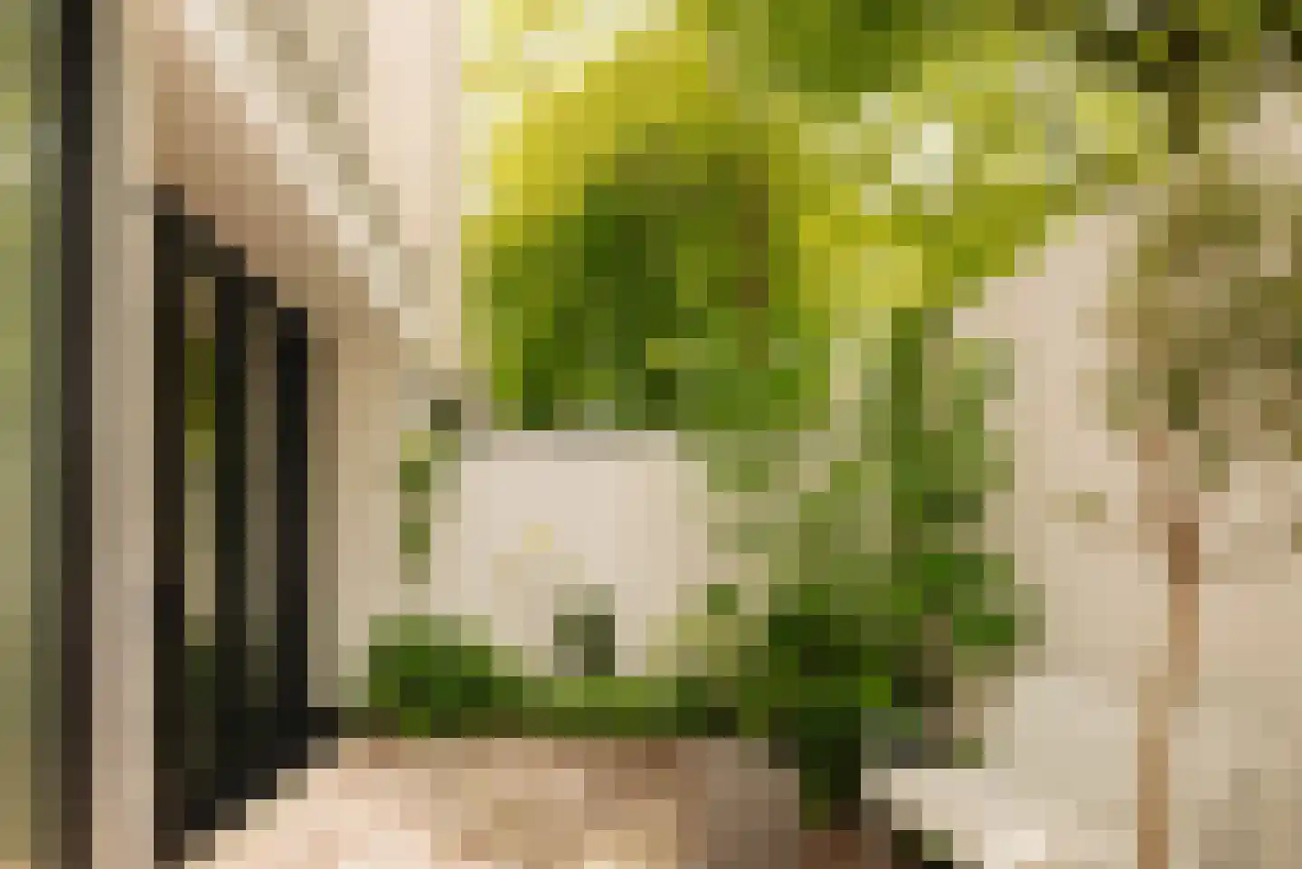 Swammerdamstraat 42 Amsterdam thumbnail 15
