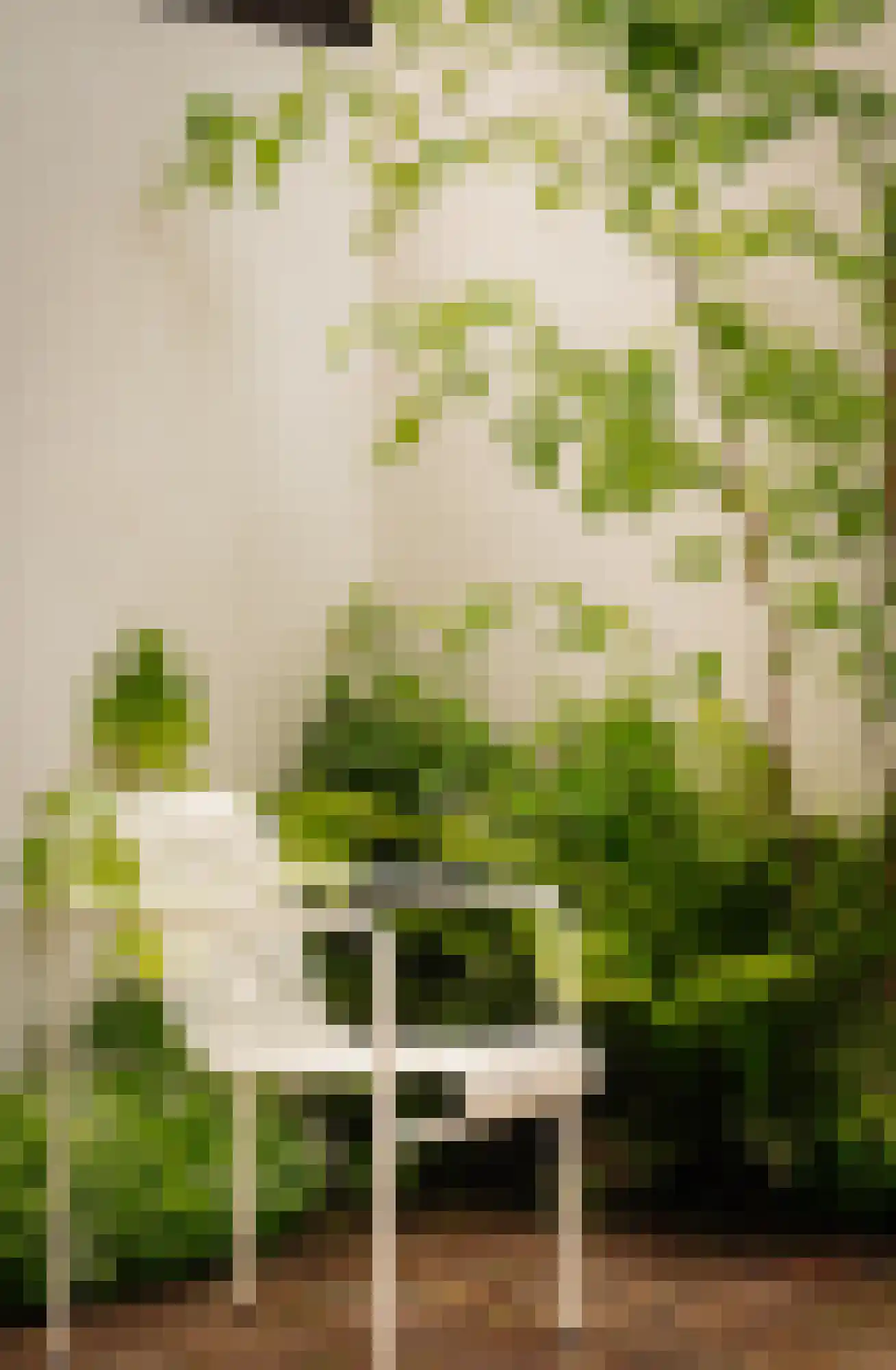 Swammerdamstraat 42 Amsterdam thumbnail 17