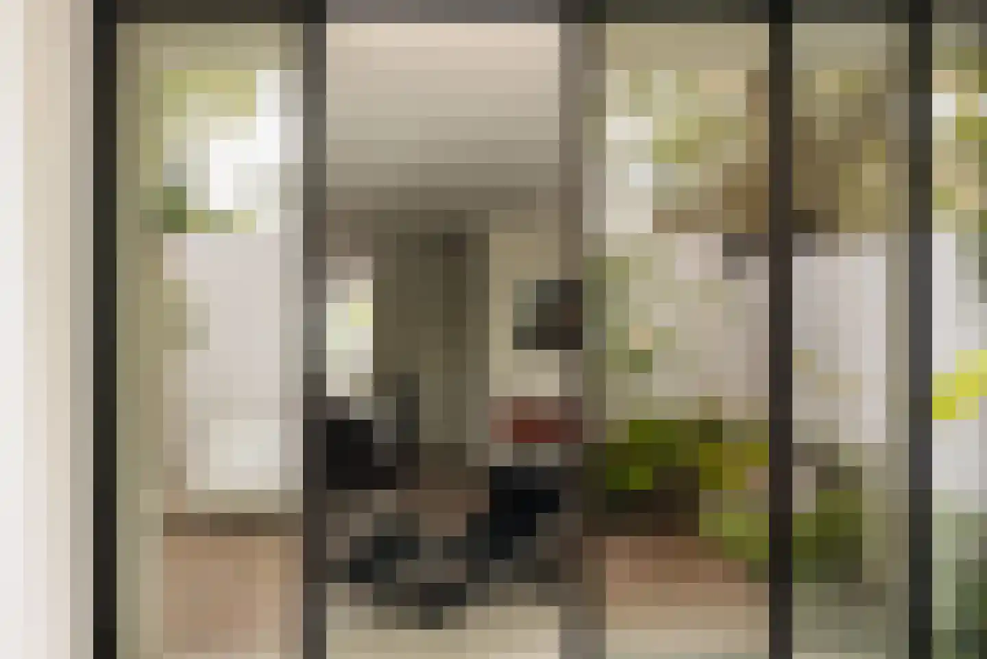 Swammerdamstraat 42 Amsterdam thumbnail 18