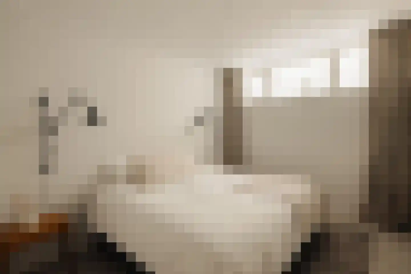 Swammerdamstraat 42 Amsterdam thumbnail 20