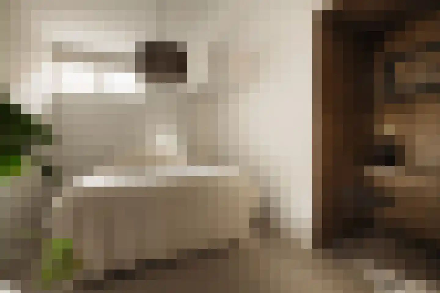 Swammerdamstraat 42 Amsterdam thumbnail 26