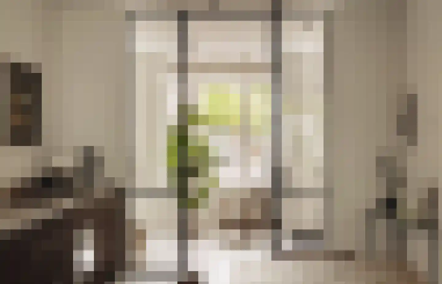 Swammerdamstraat 42 Amsterdam thumbnail 32