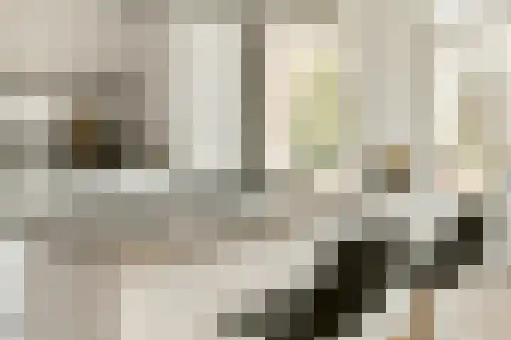 Swammerdamstraat 44 2 Amsterdam thumbnail 8