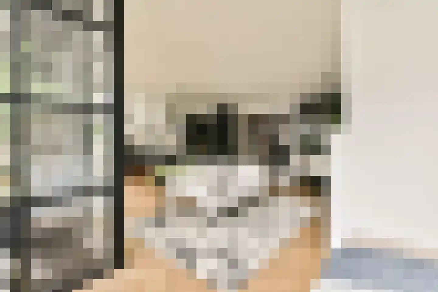 Swammerdamstraat 44 Amsterdam thumbnail 11
