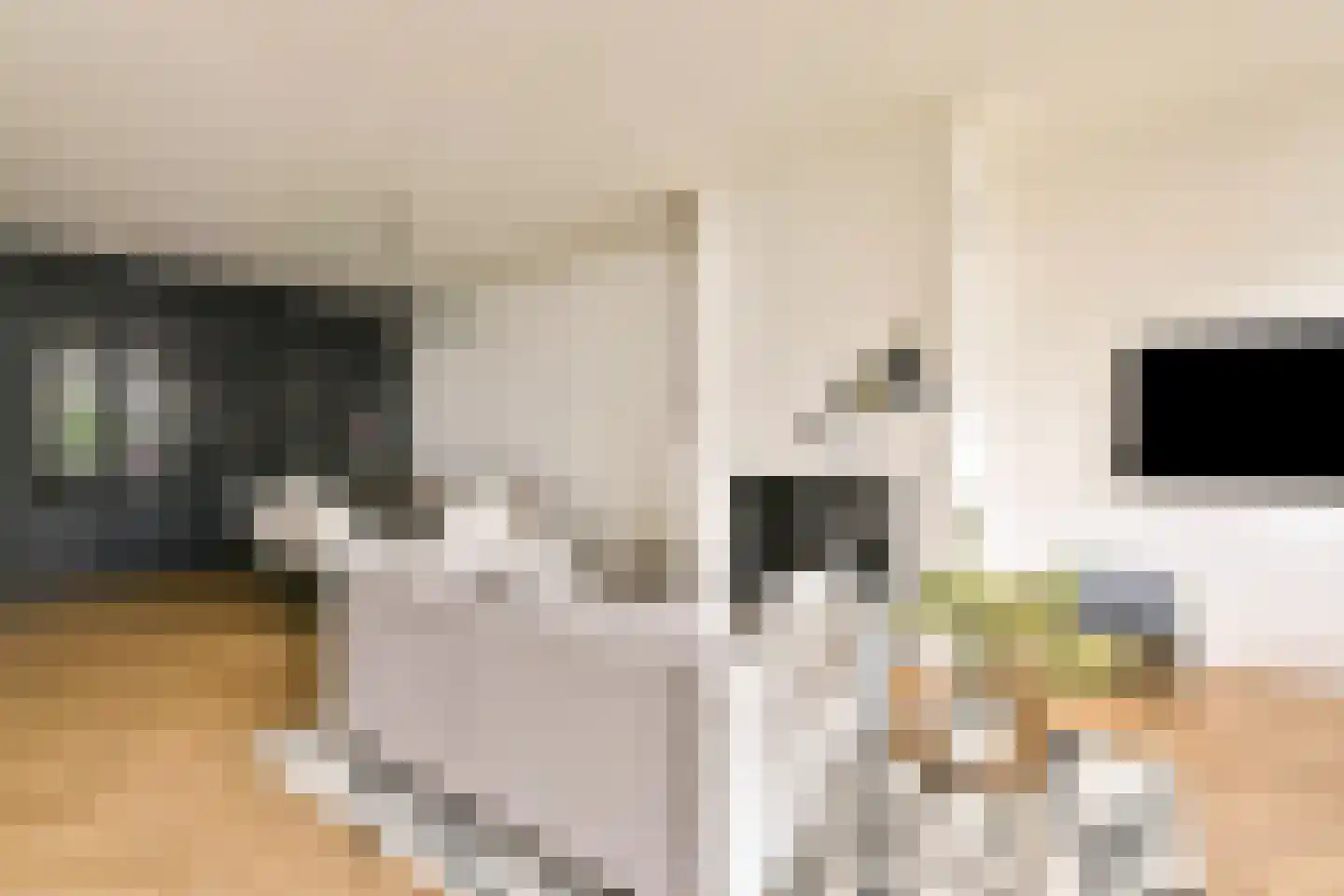 Swammerdamstraat 44 Amsterdam thumbnail 14