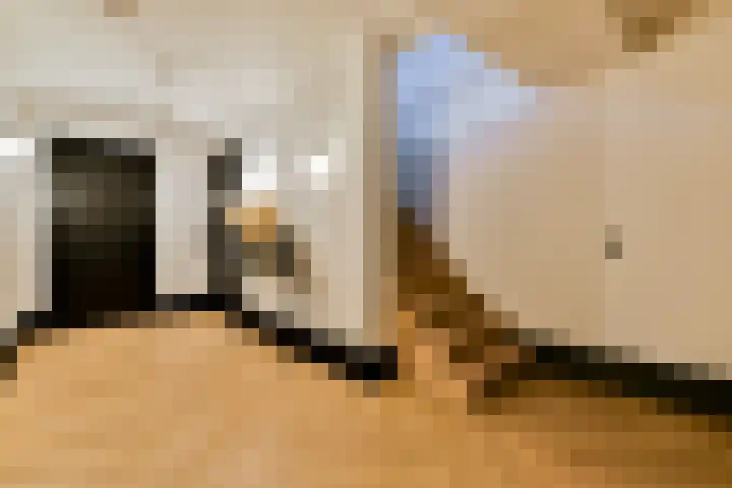 Swammerdamstraat 44 Amsterdam thumbnail 17