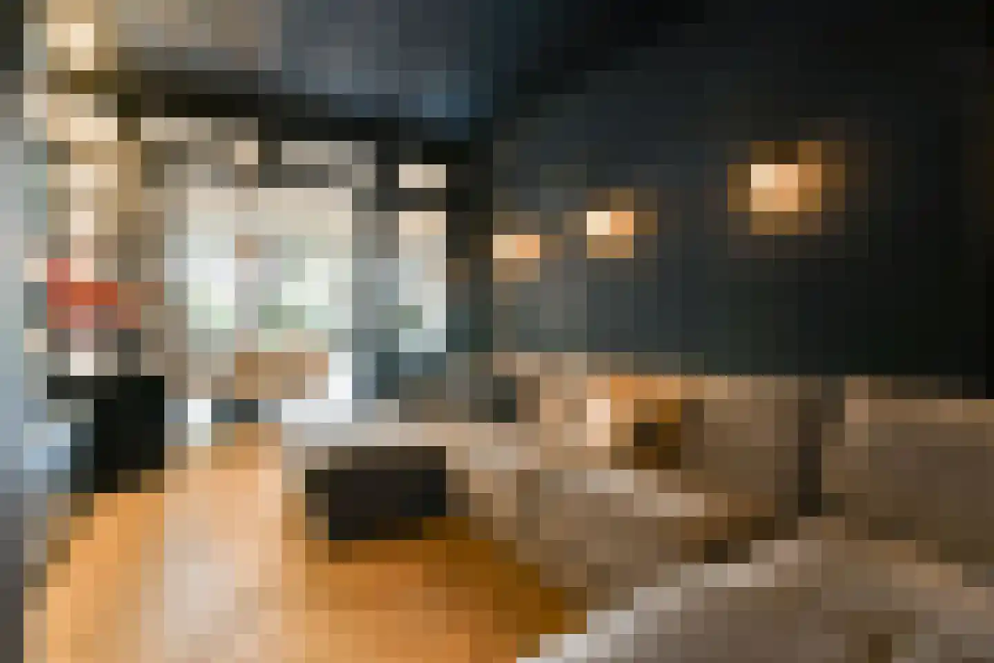 Swammerdamstraat 44 Amsterdam thumbnail 22