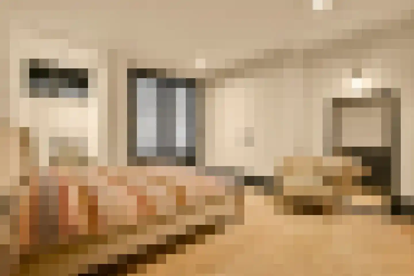 Swammerdamstraat 44 Amsterdam thumbnail 23