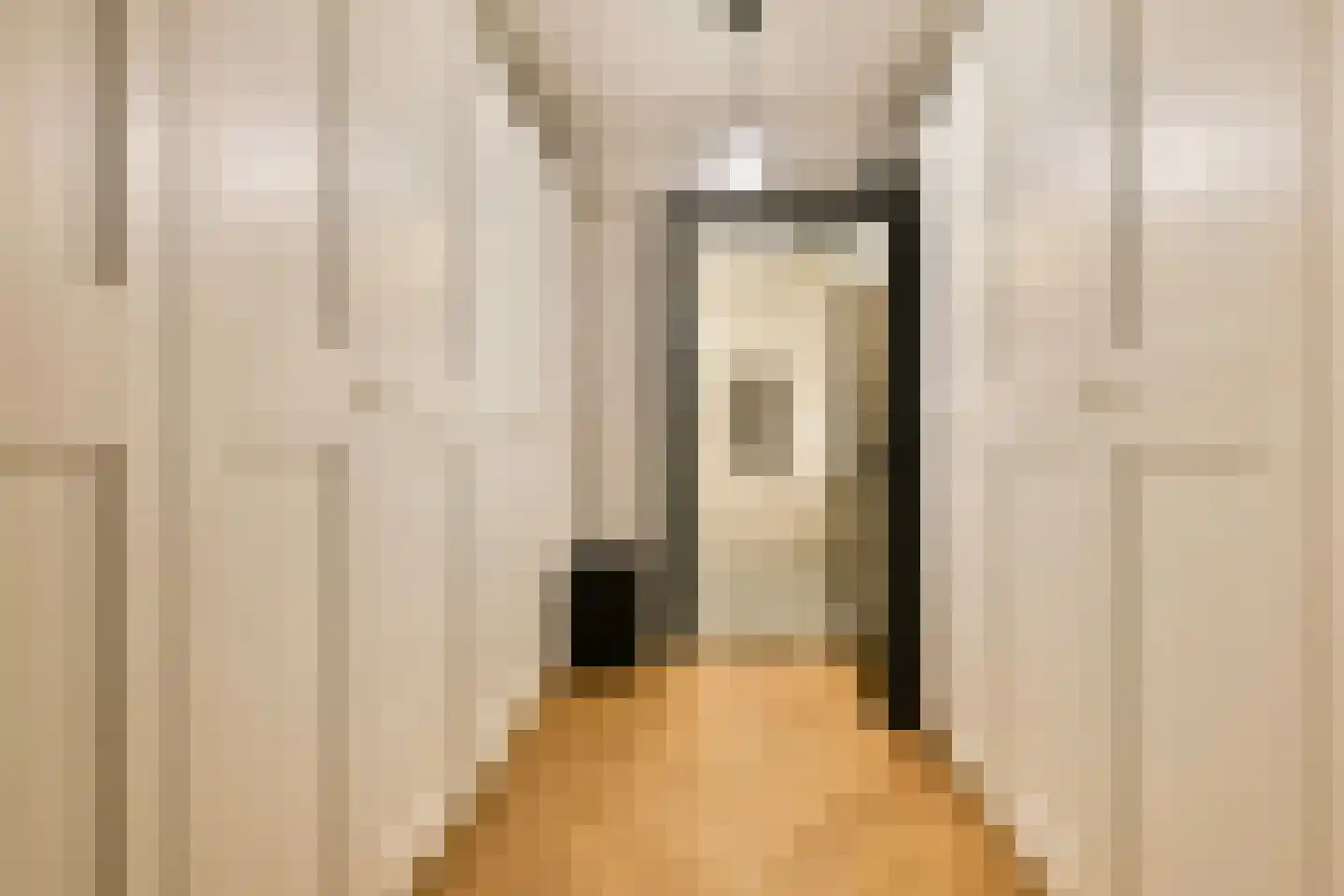Swammerdamstraat 44 Amsterdam thumbnail 24