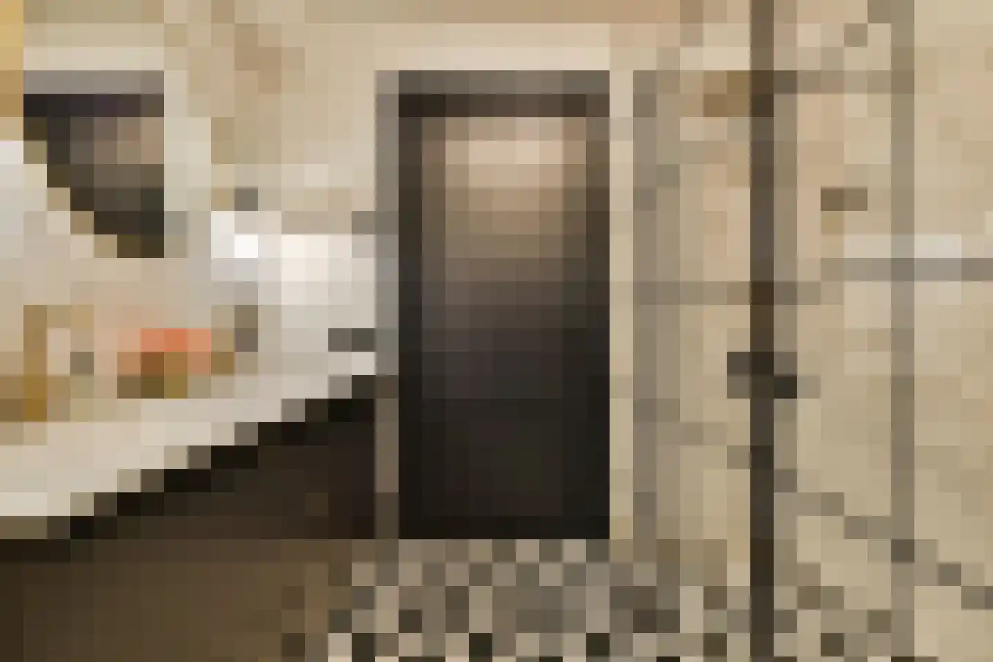 Swammerdamstraat 44 Amsterdam thumbnail 26