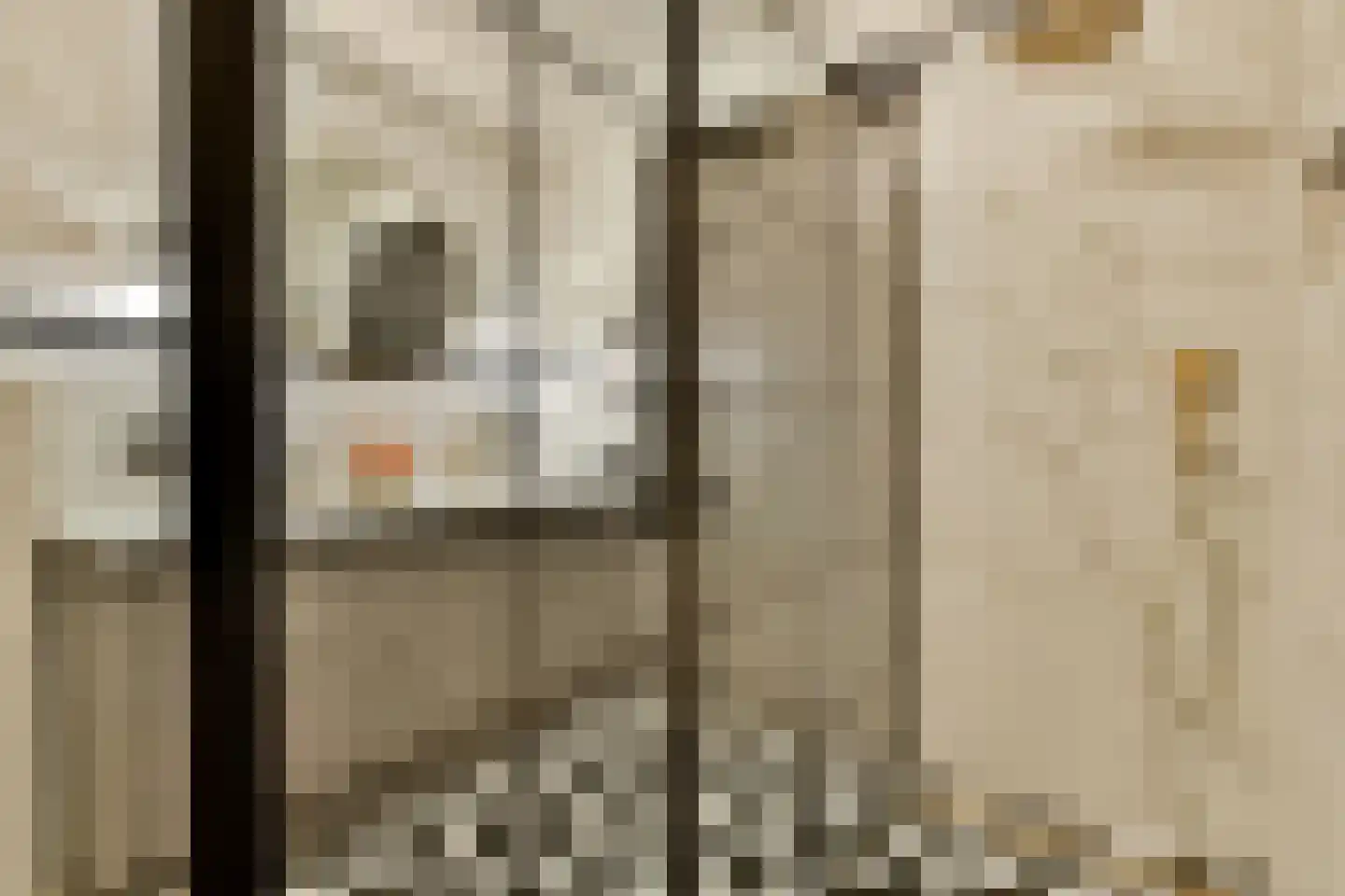 Swammerdamstraat 44 Amsterdam thumbnail 27