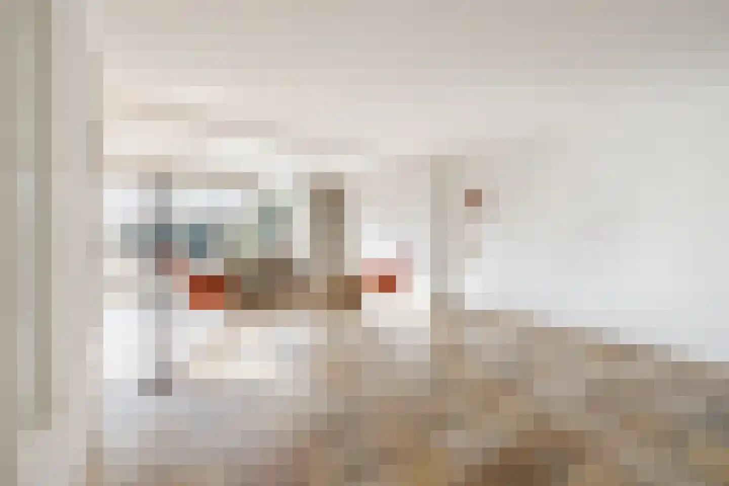 Swammerdamstraat 49 Hoogeveen thumbnail 11