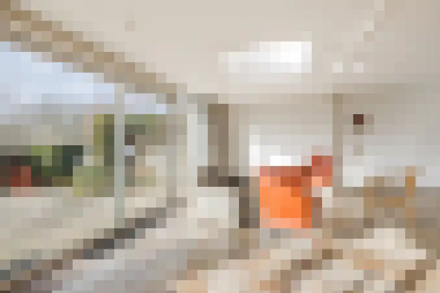Swammerdamstraat 49 Hoogeveen thumbnail 15