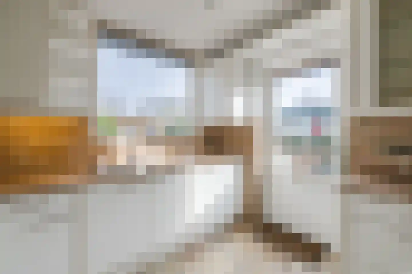 Swammerdamstraat 49 Hoogeveen thumbnail 17