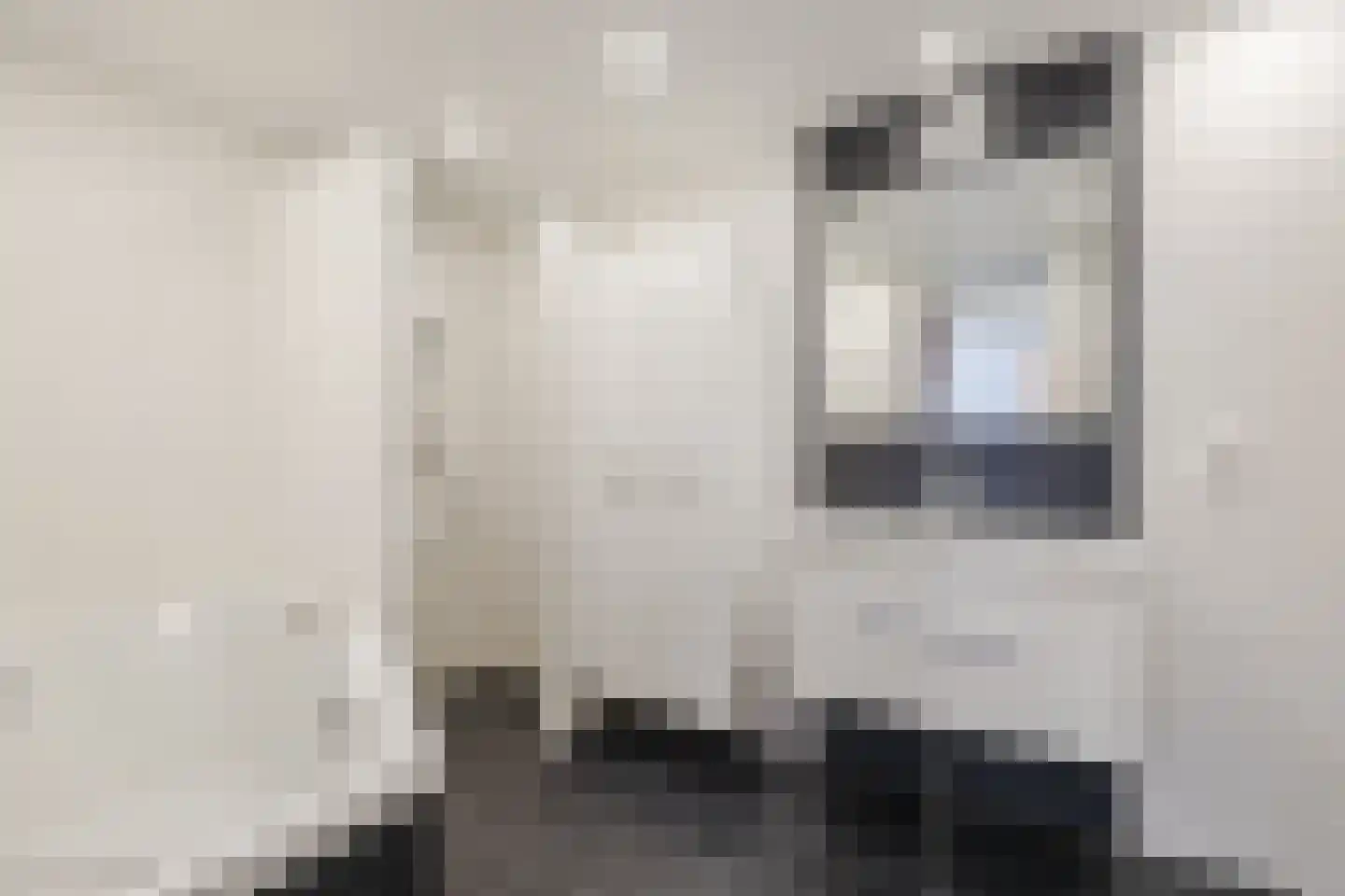 Swammerdamstraat 49 Hoogeveen thumbnail 37