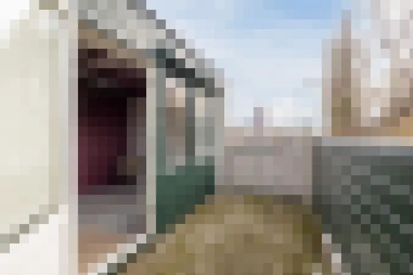 Swammerdamstraat 49 Hoogeveen thumbnail 51