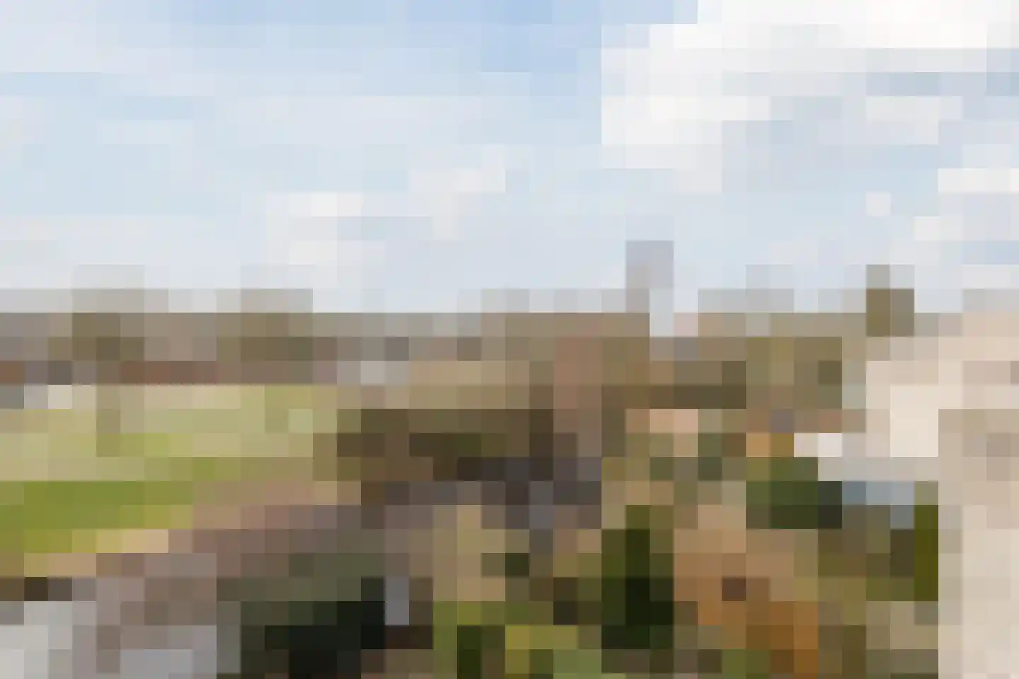 Swammerdamstraat 49 Hoogeveen thumbnail 53